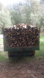 Legna da ardere ulivo, radica, acacia, castano