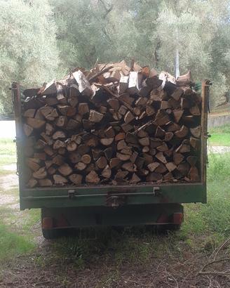 Legna da ardere ulivo, radica, acacia, castano