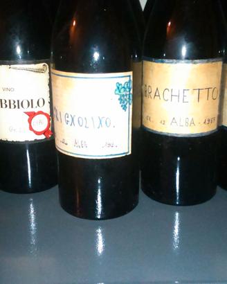 Bottiglie  di  vino d'annata