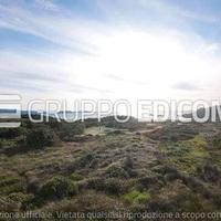 Terreno, Santa Teresa Gallura.