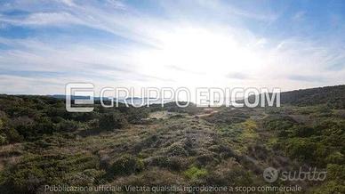 Terreno, Santa Teresa Gallura.