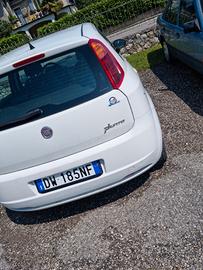 fiat punto 1.3 Multijet diesel 75cv 