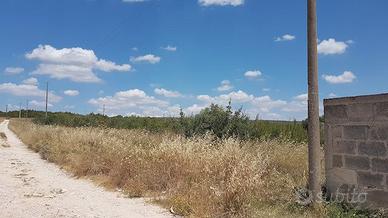 Terreno 10.000 mq