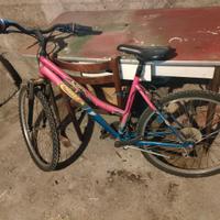 bicicletta