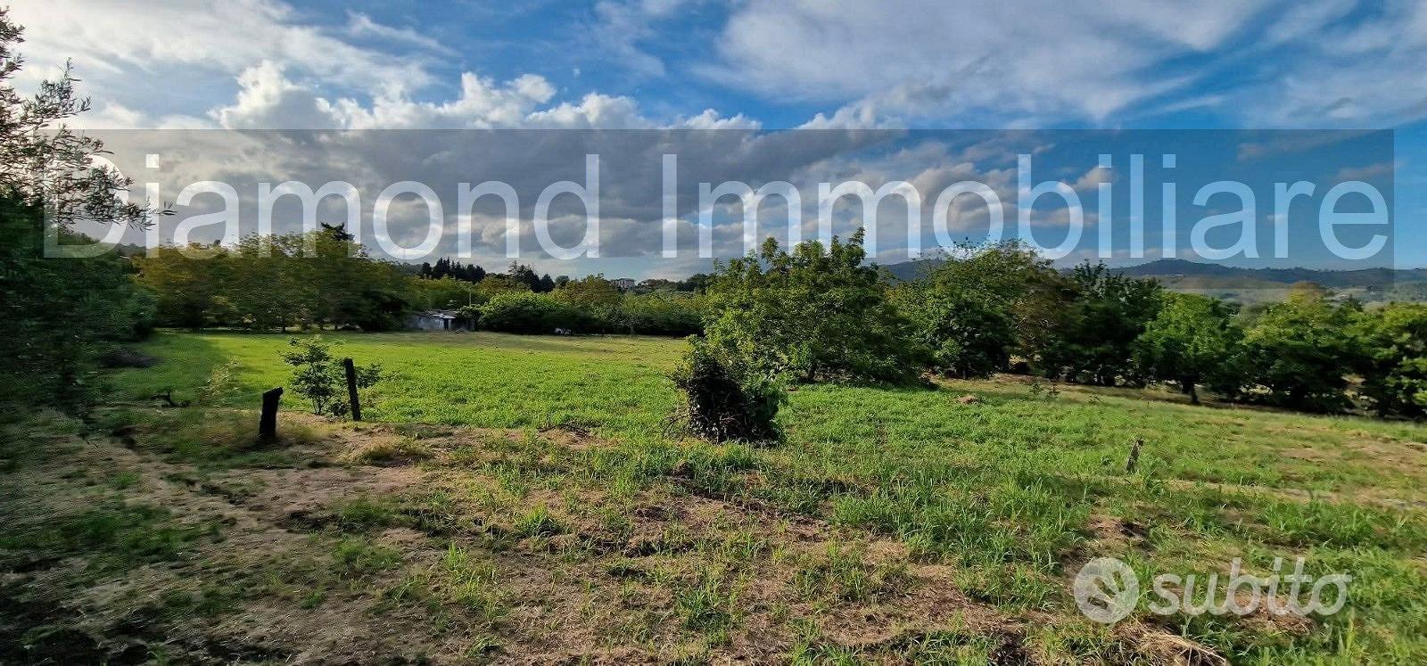 Rustico con uliveto e vigneto a Piedimonte Etneo - Vista 4