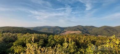 Capanno, appostamento fisso di caccia