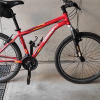 Bicicletta per ragazzo.