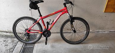 Bicicletta per ragazzo.