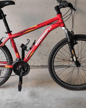 Bicicletta per ragazzo.