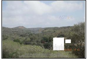 Terreno Agricolo Carloforte [A4350514]