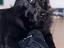Immagine 6