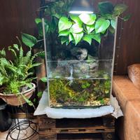 Acquario dolce completo