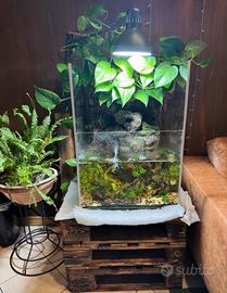 Acquario dolce completo