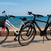 Coppia biciclette da passeggio city bike M e F