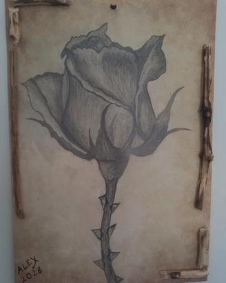 Disegno 