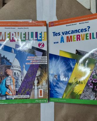 Libro A MERVEILLE 2