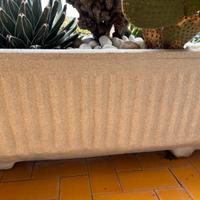 Vasi  resina varie misure