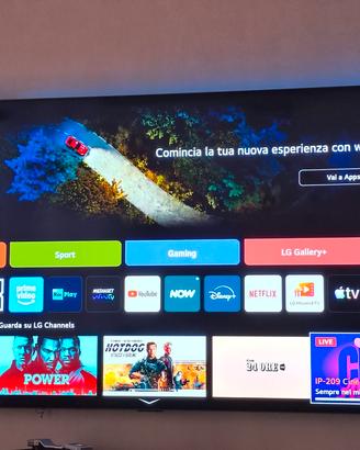 TV 83 OLED 144hz mod. B4