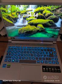 portatile acer predator 300se