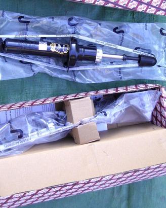 Ammortizzatori posteriori per Nissan Almera N15