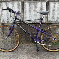 Bianchi Ragno Thomisus