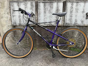 Bianchi Ragno Thomisus