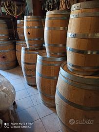 Botti barrique in rovere