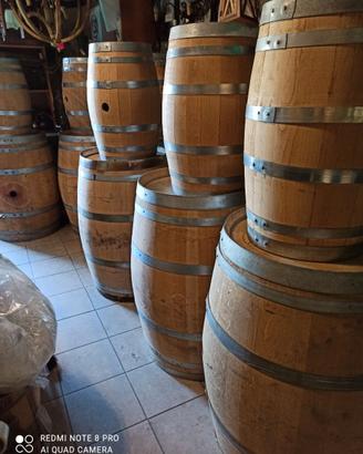 Botti barrique in rovere