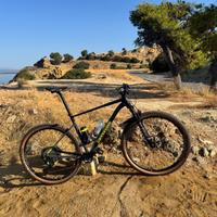 Cannondale Trail SL2