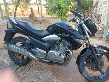 Suzuki Inazuma 250 cc Anno 2016