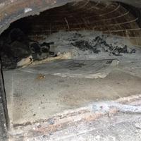 forno a legna professionale pizzeria