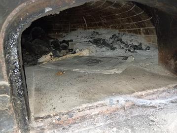 forno a legna professionale pizzeria