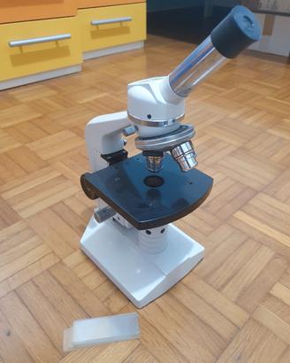 Microscopio Euromex Holland