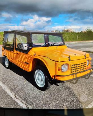 MEHARi citroen