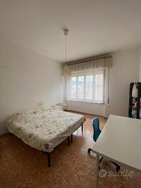 Camera singola 320, libera da Giugno