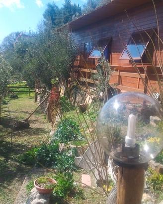 Lo Chalet sul mare