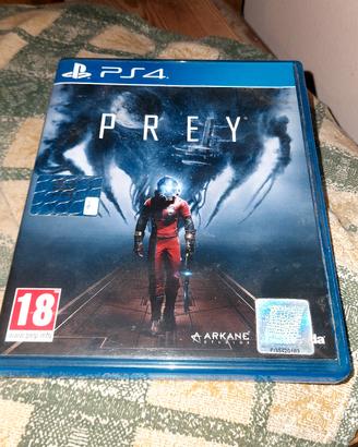 Ps4 gioco pery 