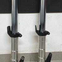coppia forcelle Triumph 955i ricambio