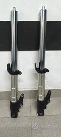 coppia forcelle Triumph 955i ricambio