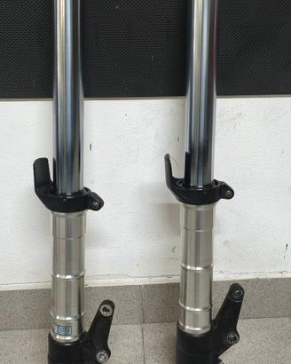 coppia forcelle Triumph 955i ricambio