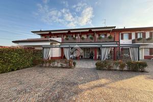 ATTIVITÀ A PONTI SUL MINCIO