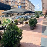 Zona Parco 2 Giugno - cessiona attività lounge ba