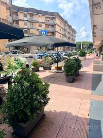 Zona Parco 2 Giugno - cessiona attività lounge ba