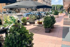 Zona Parco 2 Giugno - cessiona attività lounge ba