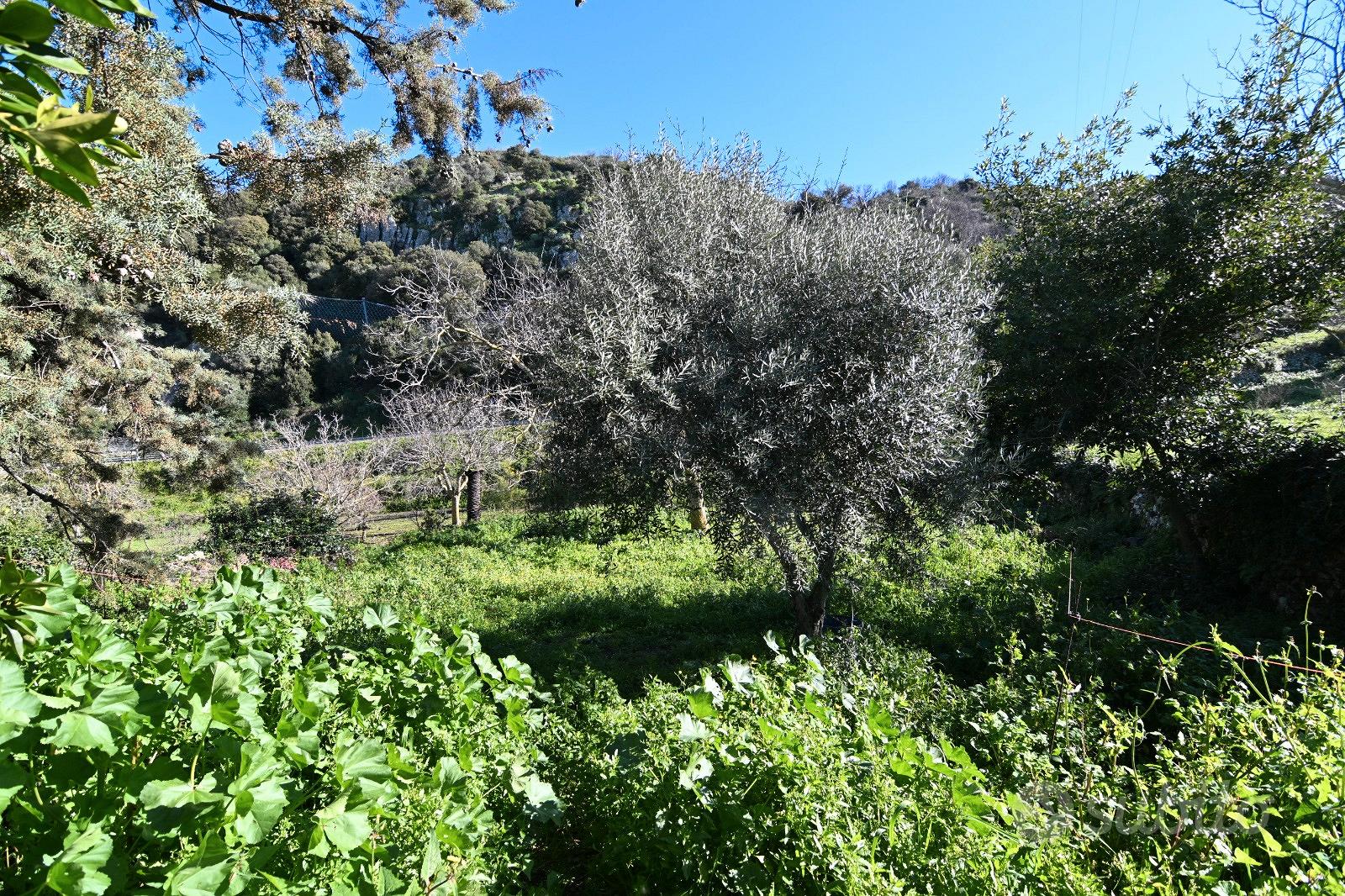 Fabbricato rurale con ampio terreno - Altro