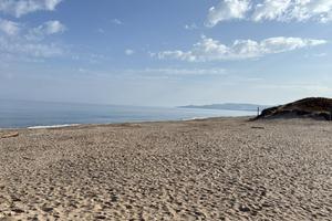 Residence Arboriamar