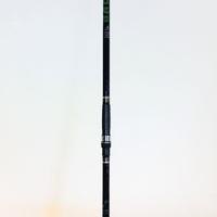 Canna da pesca BAD BASS