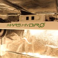 Lampada led 150W growbox 