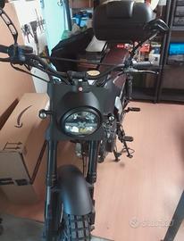 Brixton Felsberg 250 - 2021