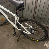 Bicicletta